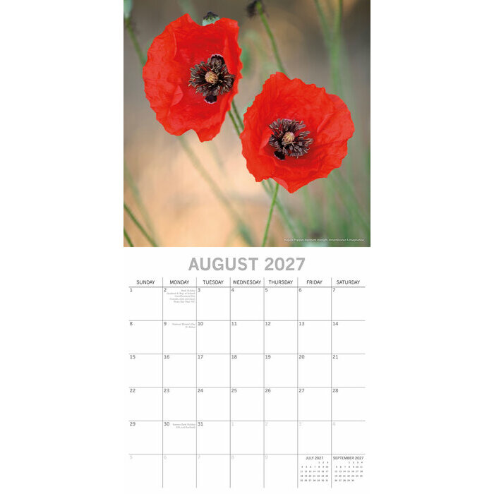 Calendrier 2027 Une Fleur par Mois et Saisons Calendrier mural 2027 Une Fleur par Mois et Saisons