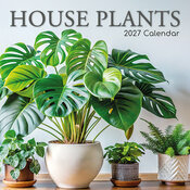 Calendrier 2027 Plantes Vertes et d'Intérieures Calendrier Mural 2027 Plantes d'Intérieures