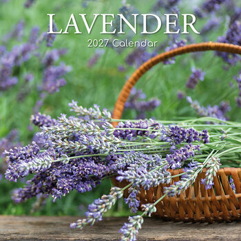 Calendrier 2027 Provence et sa Lavande