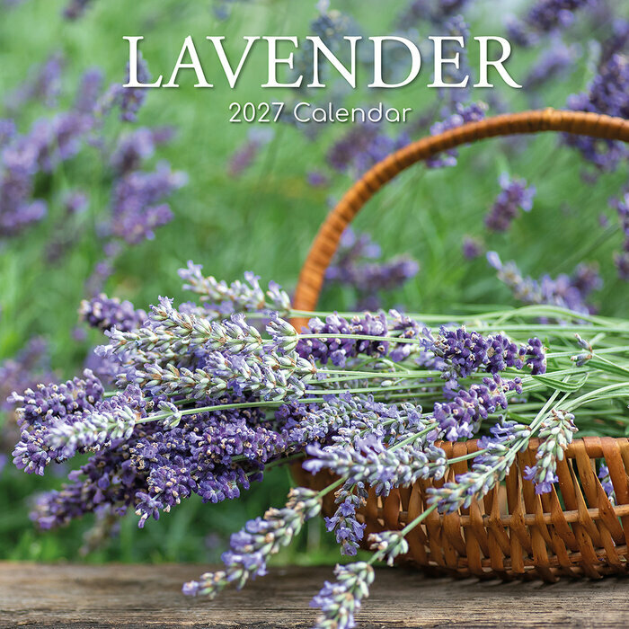 Calendrier Mural 2027 Provence et sa Lavande