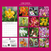 Calendrier 2027 Fleurs d'Orchidées Calendrier 2027 Fleurs d'Orchidées