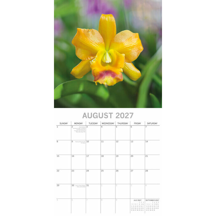 Calendrier 2027 Fleurs d'Orchidées Calendrier papier 2027 Fleurs d'Orchidées