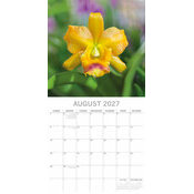 Calendrier 2027 Fleurs d'Orchidées Calendrier papier 2027 Fleurs d'Orchidées