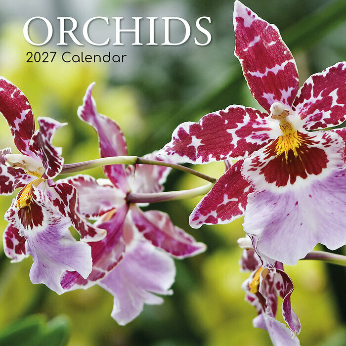 Calendrier 2027 Fleurs d'Orchidées Calendrier Mural 2027 Fleurs d'Orchidées