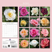 Calendrier 2027 Roses et Boutons de Rose Calendrier 2027 Roses et Boutons de Rose