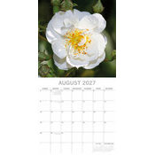Calendrier 2027 Roses et Boutons de Rose Calendrier papier 2027 Roses et Boutons de Rose