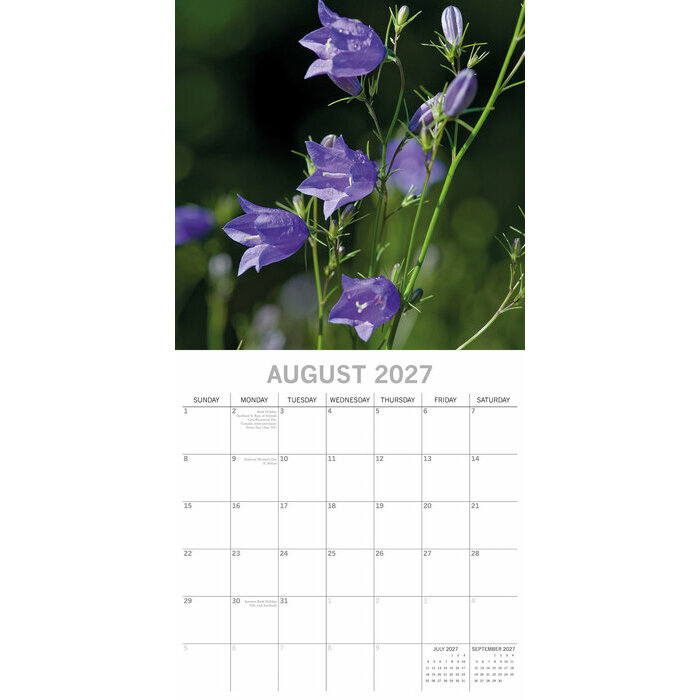 Calendrier 2027 Fleurs des Champs Calendrier papier 2027 Fleurs des Champs