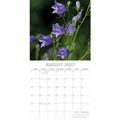 Calendrier 2027 Fleurs des Champs Calendrier papier 2027 Fleurs des Champs