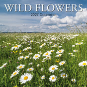 Calendrier 2027 Fleurs des Champs Calendrier Mural 2027 Fleurs des Champs