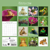 Calendrier 2027 Grenouilles Fabuleuses Calendrier 2027 Grenouilles Fabuleuses