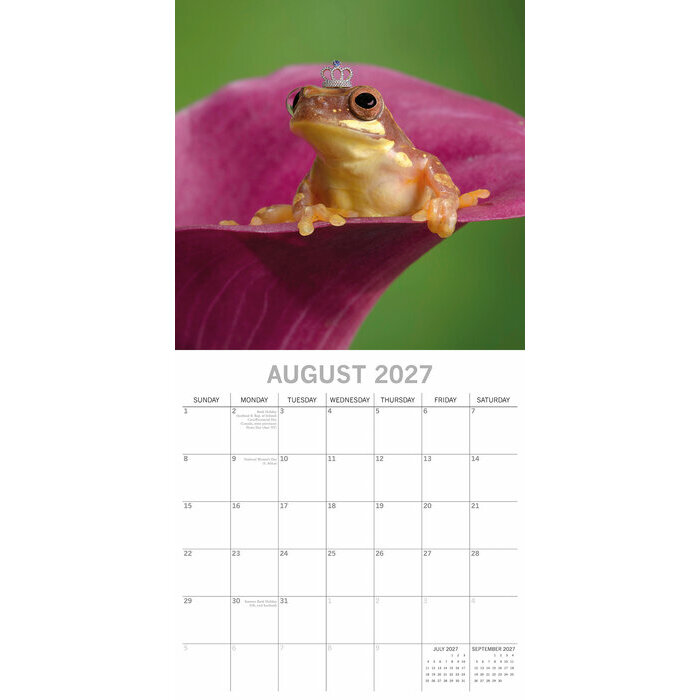 Calendrier 2027 Grenouilles Fabuleuses Calendrier papier 2027 Grenouilles Fabuleuses