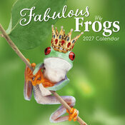 Calendrier 2027 Grenouilles Fabuleuses Calendrier Mural 2027 Grenouilles Fabuleuses
