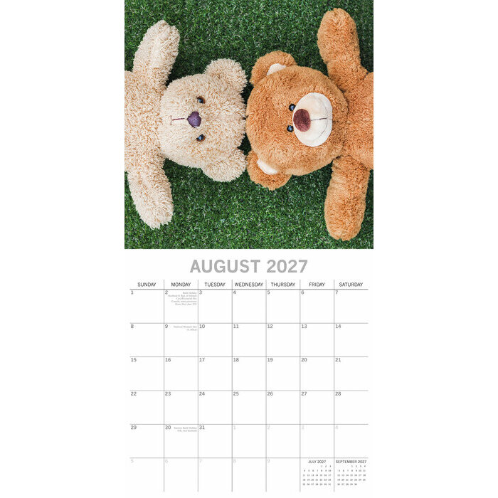 Calendrier papier 2027 Tendres Oursons Peluches