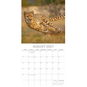 Calendrier papier 2027 Safari Animaux Sauvages