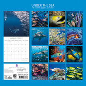 Calendrier 2027 Vie sous marine R�cifs