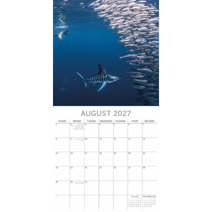 Calendrier papier 2027 Vie sous marine R�cifs