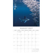 Calendrier papier 2027 Vie sous marine R�cifs