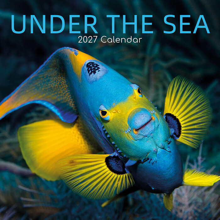 Calendrier Mural 2027 Vie sous marine R�cifs