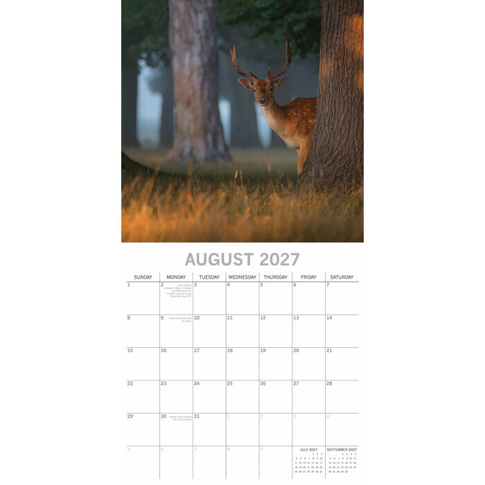 Calendrier 2027 Forêts et Jungle Calendrier papier 2027 Forêts et Jungle