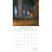Calendrier 2027 Forêts et Jungle Calendrier papier 2027 Forêts et Jungle