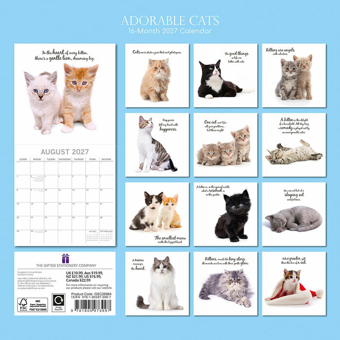 Calendrier Papier 2027 Chatons