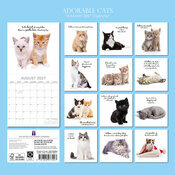 Calendrier Papier 2027 Chatons