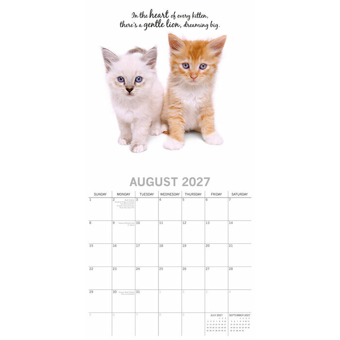 Calendrier 2027 Chats Chatons