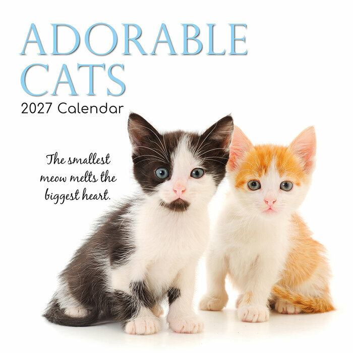 Calendrier Mural 2027 Chatons studio
