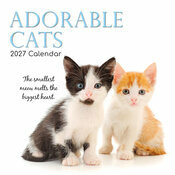 Calendrier Mural 2027 Chatons studio