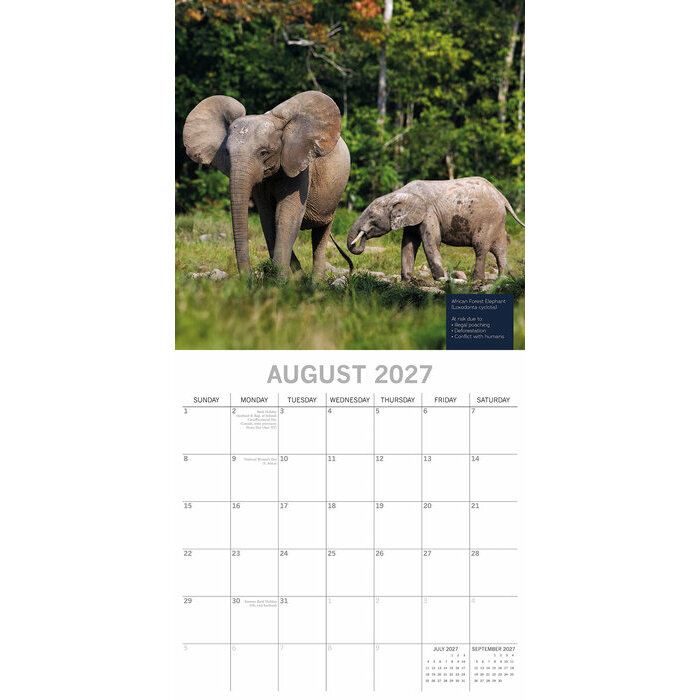 Calendrier papier 2027 Nature et Terre Fragile