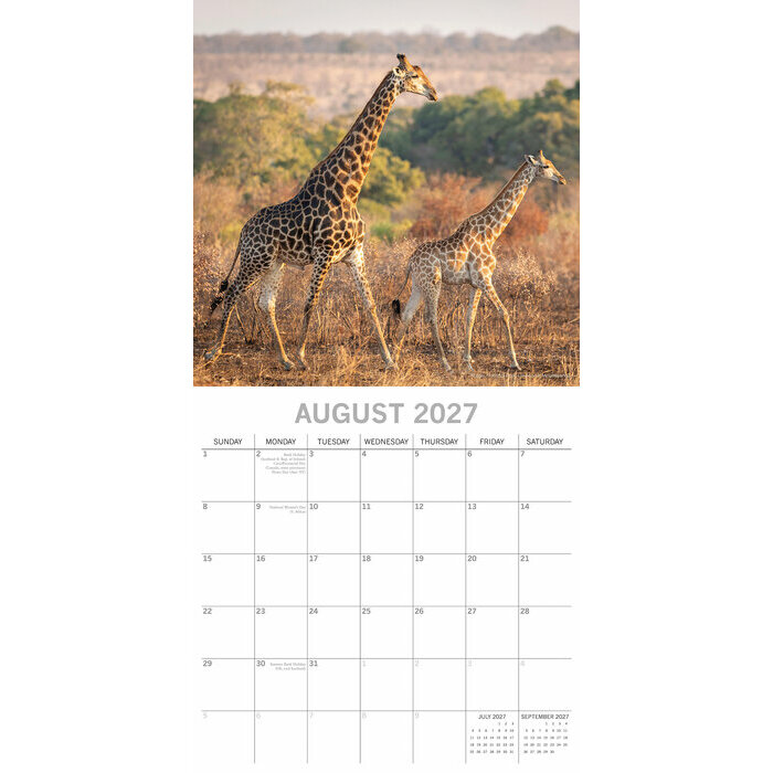 Calendrier 2027 Afrique du Sud Paysages Sauvages et Safaris Calendrier papier 2027 Afrique du Sud Paysages Sauvages et Safaris