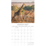 Calendrier 2027 Afrique du Sud Paysages Sauvages et Safaris Calendrier papier 2027 Afrique du Sud Paysages Sauvages et Safaris