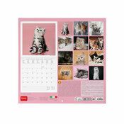 Calendrier 2027 Chatons 