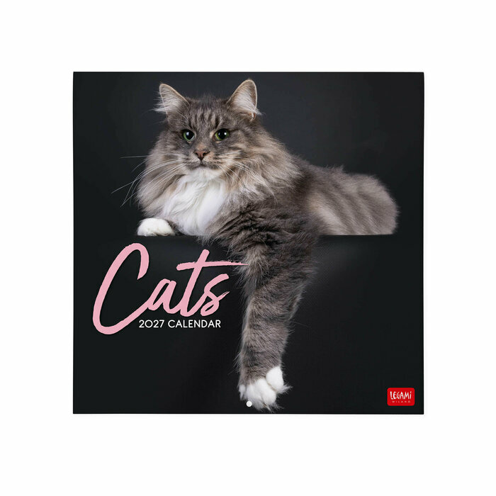 Calendrier 2027 Beauté des Chats Calendrier Mural 2027 Beauté des Chats