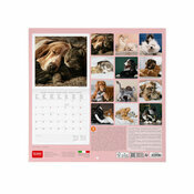 Calendrier 2027 Animaux Meilleurs Amis Calendrier mural 2027 Animaux chien et chat