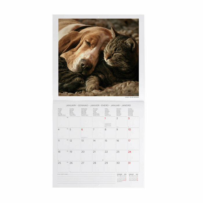 Calendrier 2027 Animaux Meilleurs Amis Calendrier mural 2027 Animaux
