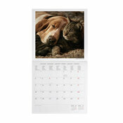 Calendrier 2027 Animaux Meilleurs Amis Calendrier mural 2027 Animaux