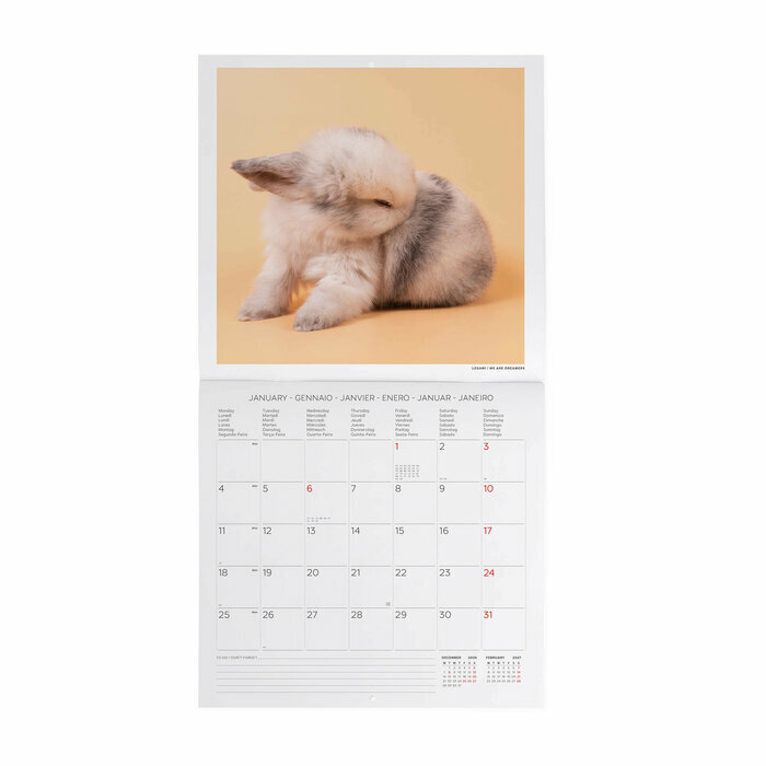 Calendrier 2027 Lapins NAC Calendrier 2027 Lapins nain