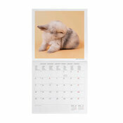 Calendrier 2027 Lapins NAC Calendrier 2027 Lapins nain