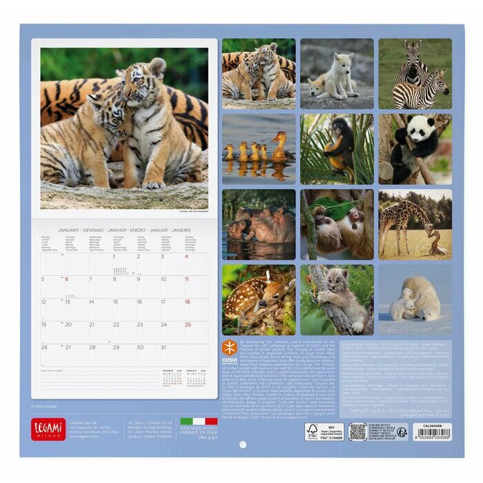 Calendrier 2027 Bébés Animaux Cute Calendrier 2027 Bébés Animaux Ours polaire