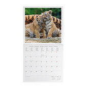 Calendrier 2027 Bébés Animaux Cute Calendrier 2027 Bébés Animaux Cute