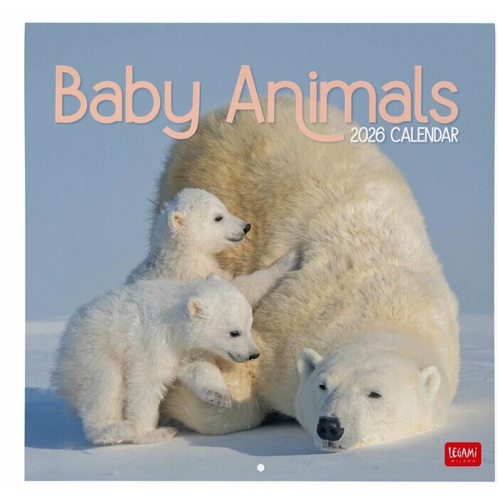 Calendrier 2027 Bébés Animaux Cute Calendrier Mural 2027 Bébés Animaux Cute