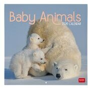 Calendrier 2027 Bébés Animaux Cute Calendrier Mural 2027 Bébés Animaux Cute