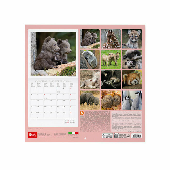 Calendrier 2027 Bébés Animaux Cute Calendrier 2027 Bébés Animaux Ours polaire
