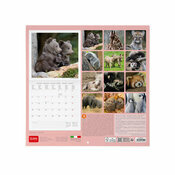 Calendrier 2027 Bébés Animaux Cute Calendrier 2027 Bébés Animaux Ours polaire