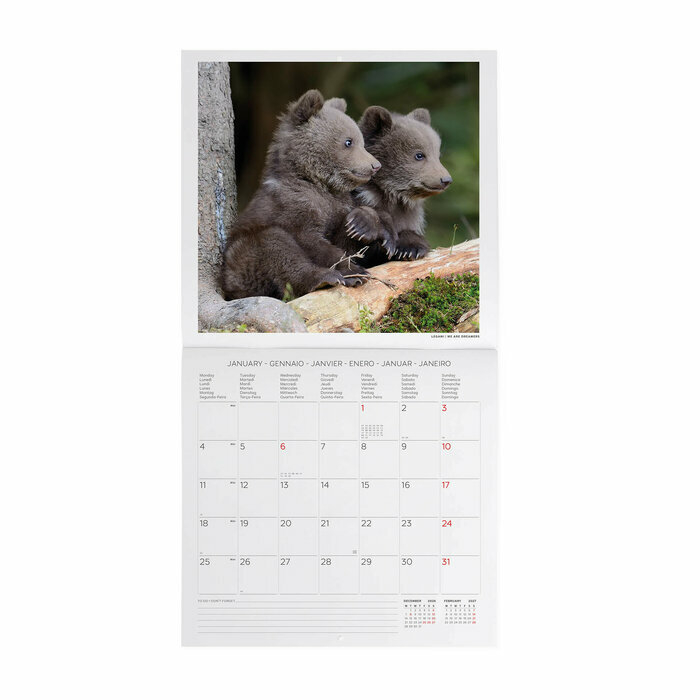 Calendrier 2027 Bébés Animaux Cute Calendrier 2027 Bébés Animaux Cute