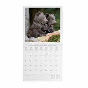 Calendrier 2027 Bébés Animaux Cute Calendrier 2027 Bébés Animaux Cute