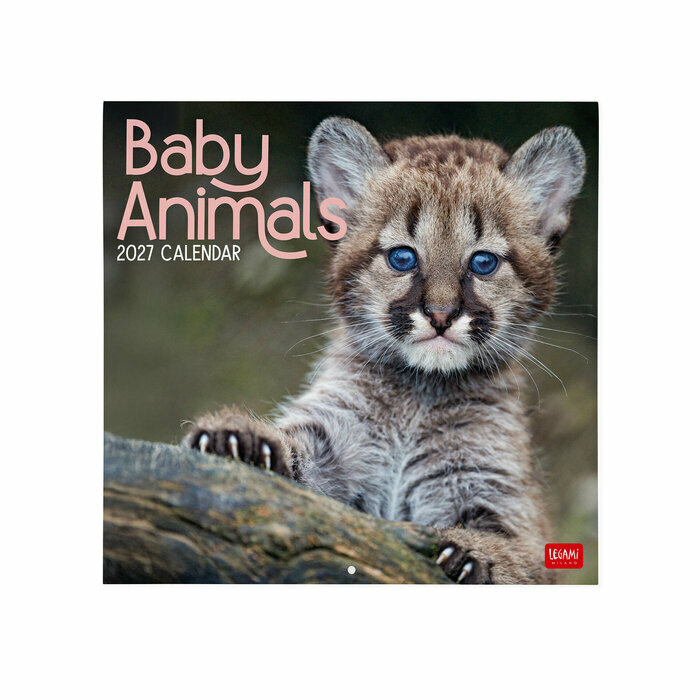 Calendrier 2027 Bébés Animaux Cute Calendrier Mural 2027 Bébés Animaux Cute
