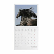 Calendrier 2027 Chevaux Sauvages Calendrier 2027 Chevaux Sauvages