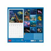 Calendrier 2027 Poissons Exotiques et Vie Sous Marine Calendrier 2027 Poissons Exotiques et Vie Sous Marine
